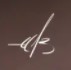 Erlend Capodanno Signature
