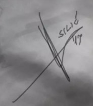 Hrvoje Silić  Signature