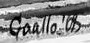 gaallo Signature