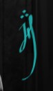 Julien Hainault  Signature