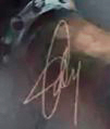 Tze Kun Chin  Signature
