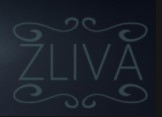 Tamara Husarieva  Signature