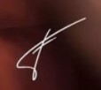 Ino Miguel Velarde  Signature