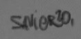 Misha Savier  Signature