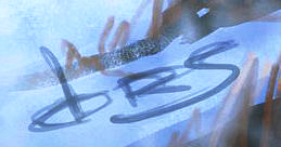 Orjan Ruttenborg Svendsen  Signature