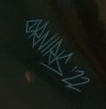 Orniris Terensi  Signature