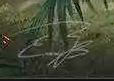 Alexandr Elichev  Signature