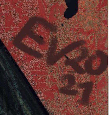 Eleonora Oganesyan  Signature