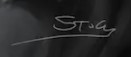 Peter Laycock  Signature