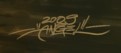 Sacha Angel Diener  Signature