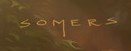 Stephen Somers  Signature