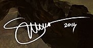 Svetlin Velinov  Signature