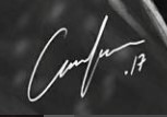Toni Justamante Jacobs  Signature