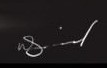Waheeb Said  Signature