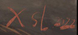 Shu Sheyu  Signature
