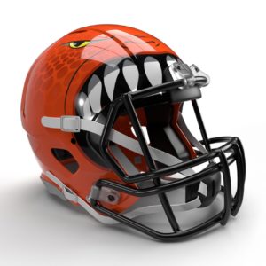 Cincinnati Squigs 40K NFL Logo