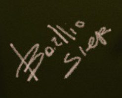 Konstantin Gorelov  Signature