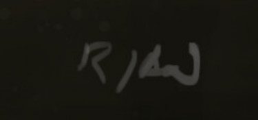 Rian Macanip  Signature