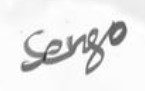 Sergo Badoian  Signature