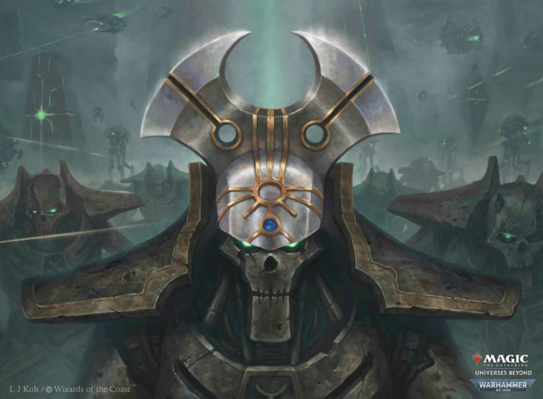 Cranial Plating by L J Koh 