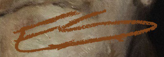 Evan Shipard  Signature