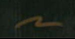 Mauro Belfiore  Signature