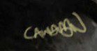 Paul Canavan  Signature
