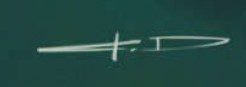Stanton Feng  Signature