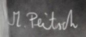 Michał Peitsch  Signature