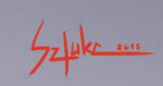Michal Sztuka  Signature