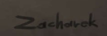 Michał Zacharek  Signature