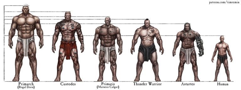 Warhammer Comparisons by Tim Remin 