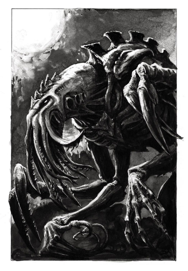 Danger Will Robinson by David Gallagher 