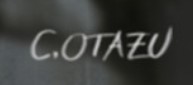 Cristian Otazu  Signature