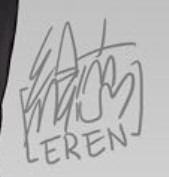 Eren Enrica Angiolini  Signature