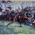 Immature Trygon by Tony Moseley