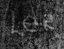 Lee Carter  Signature
