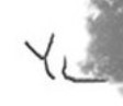 Ylva Ljungqvist  Signature