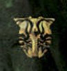 Vincent Devault  Signature