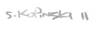 Stefan Kopinski Signature