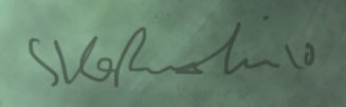 Stefan Kopinski Signature