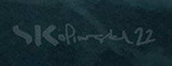 Stefan Kopinski Signature