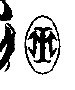 Ian Miller  Signature