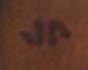 James Ryman  Signature