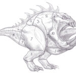 Squig Butchery Chart by Gabe McAlpine