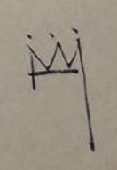 Tze Kun Chin  Signature