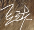 Xi Zhang  Signature