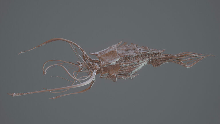 Feeder Tentacles by ND ZK