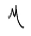 Chris M  Signature