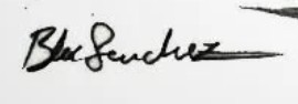 BlocSanchez  Signature